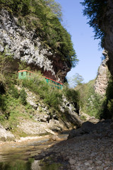 Rock of the Guam gorge is forested.The Caucasus. Russia