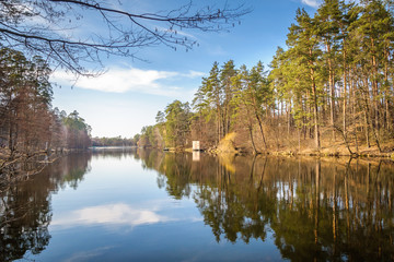 Fototapeta premium Lake & Forest