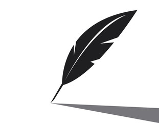 Vector feather icon on white background