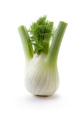 Fennel bulb with leaves