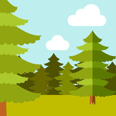 Deep Forest flat background