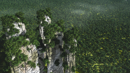 3d illustration aerial view of forest