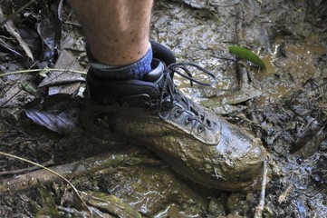 Obraz premium chaussure dans la boue