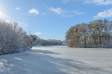 凍った公園の池
