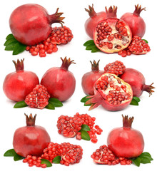 pomegranate