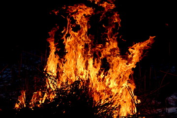 campfire in the night for backgrounds