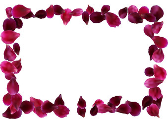 Abstract background with flying pink rose petals. Vector illustration isolated on a background.
