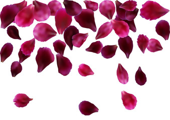 Abstract background with flying pink, red rose petals