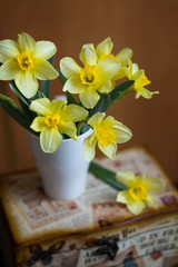 Daffodils. Spring. Postcard