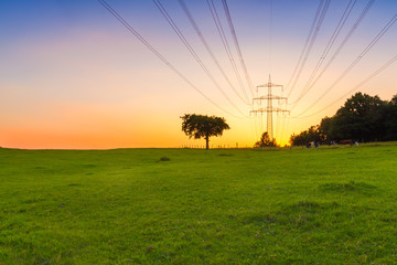 electrical wire, sunset, transformer, nature, sun, tree
