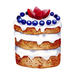 Watercolor hand drawn sweet and tasty cake with berries on it