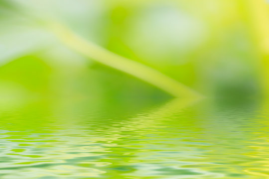 Green background with water reflection