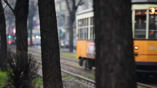 Tipico tram di Milano passa tra alberi in una giornata senza sole