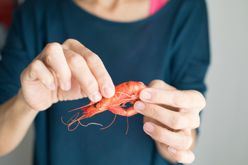 hands of woman with blue sweater ready to open a cooked red prawn, or to cut the head
