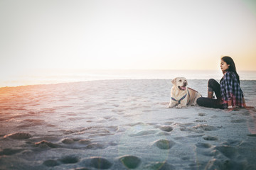 Girl playing with dog on beach
