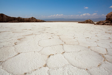 Salt pan in Danakil Depression - Afar region - Ethiopia