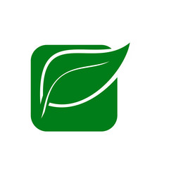 Eco Nature Green Leaf Square Vector Icon 