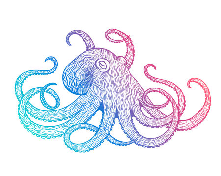 Vector illustration of octopus line art style. Design for t-shirt, posters.