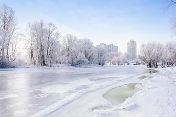 Poster Landscape with trees, frozen water, ice and snow on the Dnieper river in Kiev, Ukraine, during winter. Building in the background. © Maxal Tamor