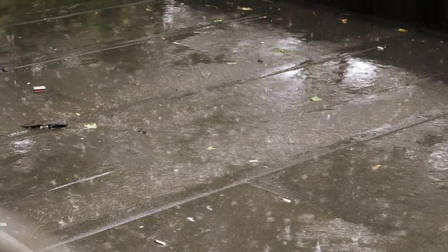 Rain drops falling on a flat roof in the summer