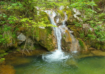 Wild Natur Wasserfall