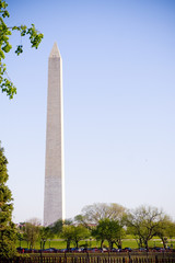 washington monument in the national mall