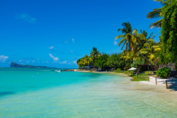 Beach on the tropical island. Clear blue water, sand and palm tr