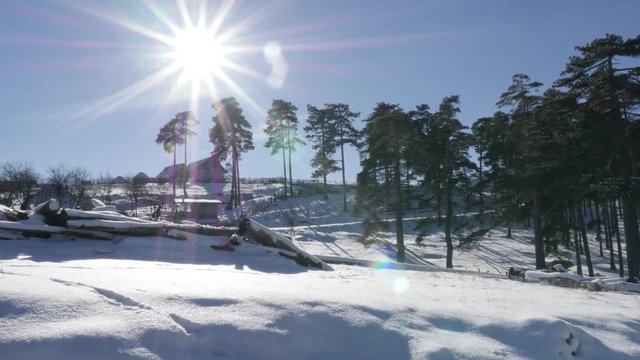 Slow tilt on sun flare shine over snowed coniferous woods 3840X2160 UHD footage - First snow covers cone-bearing seed plants 4K 2160p 30fps UltraHD tilting video 