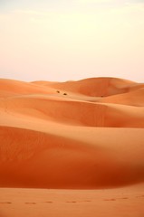 Oman : Wahiba Sands 
