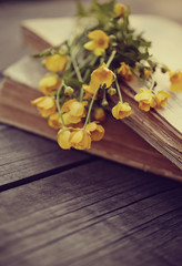 Old books and buttercups on a wooden table.