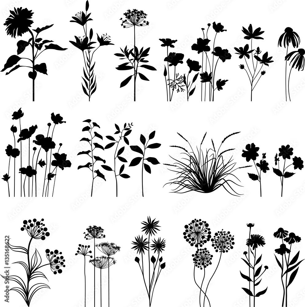 Canvas Prints Botany set