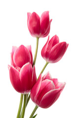 Flower card
