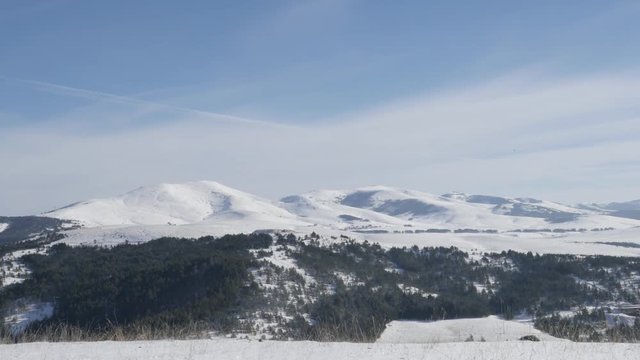 Valley of Zlatibor mountain ranges tilting 3840X2160 UHD footage - Vegetation and cone-bearing seed plants slow tilt 4K 2160p 30fps UltraHD video 