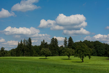 Fototapeta premium Sommertag auf dem Land