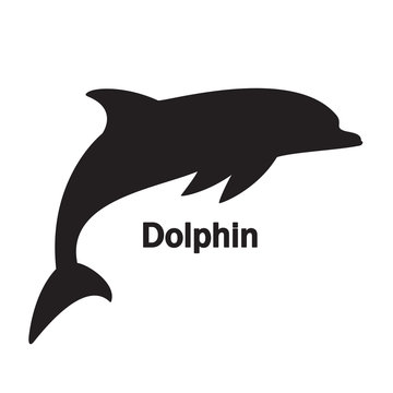 silhouette dolphin on the white background black text empty