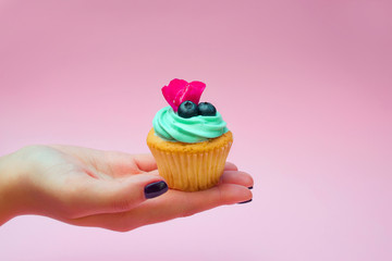 Cupcakes with butter cream and vanilla with blueberry with pink flowers on the hand on pink background
