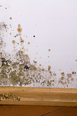 Mold and moisture buildup on corner wall of a house.