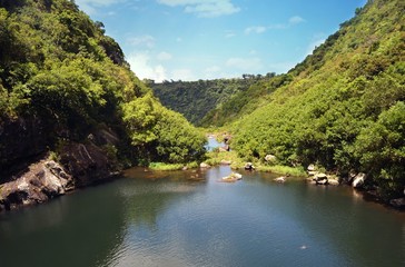 Fototapeta premium Forest and waterfall in Mauritius