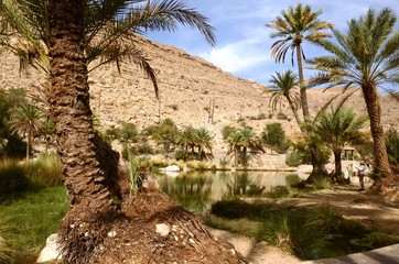 Fototapeta na wymiar Oman : Wadi Bani Khalid 