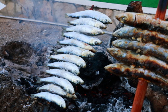 Skewer Of Sardines Roasting In The Embers Of Firewood, Typical Food Of The Coasts Of Andalusia, To The South Of Spain