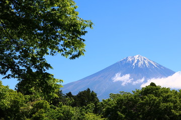 【静岡県】白糸の滝から富士山