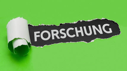 Zerrissenes Papier - Forschung