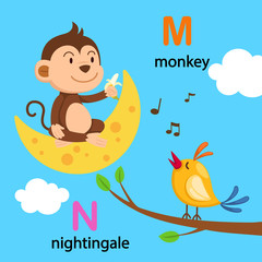 Illustration Isolated Alphabet Letter M-moon,N-nightingale