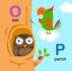 Illustration Isolated Alphabet Letter O-owl,P-parrot