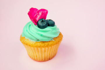 Cupcakes with butter cream and vanilla with raspberry on pink background