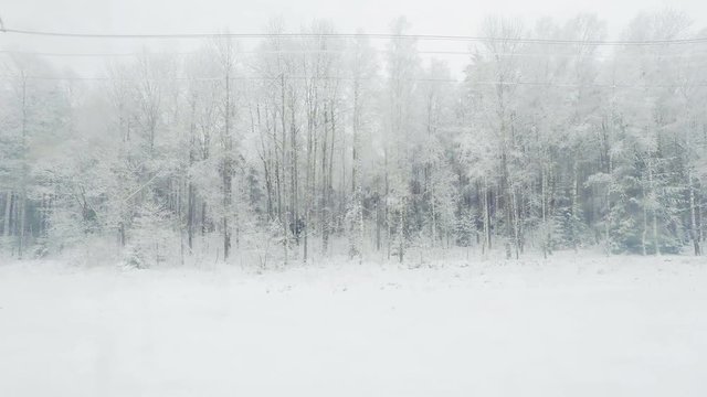 View from the train window to the winter landscape.