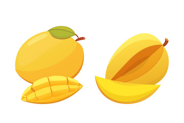 Mango yellow Fruit Isolated Vector illustration. Ripe fresh mangoes