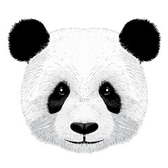 Fototapety  panda vector illustration