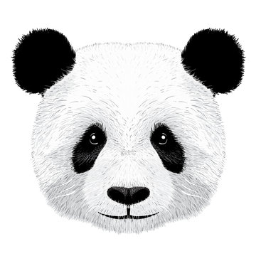 61 059 Best Panda Vector Images Stock Photos Vectors Adobe Stock