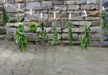 Frische Kr&auml;uter an Mauer